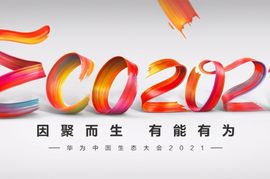 华为中国生态大会2021：下一个十年的路口