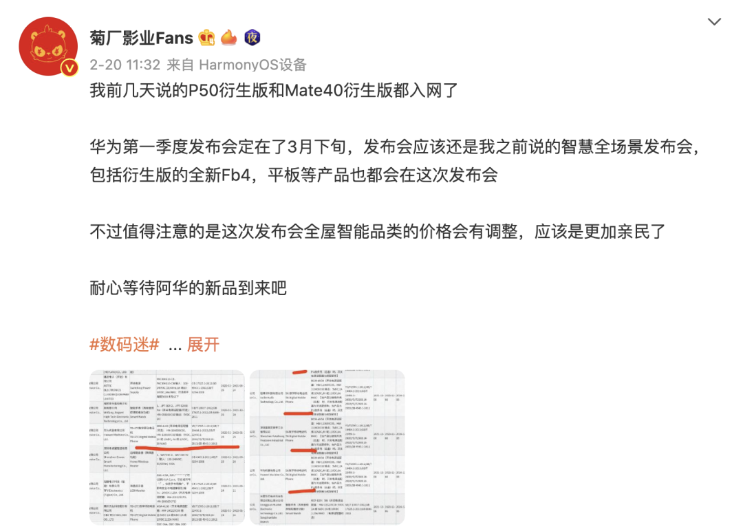 华为还有5G新机？5G麒麟9000L版Mate40E Pro或3月3日开售