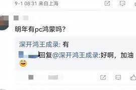 鸿蒙PC版即将上线，华为真能改变电脑市场格局？